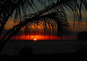 洛阳二外小学一年级开设英语课吗