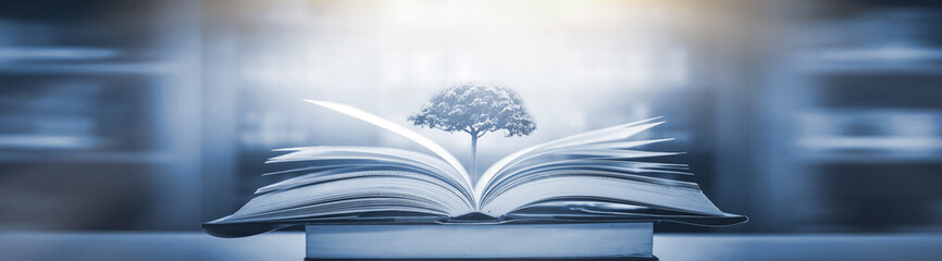 女生英文名姓氏