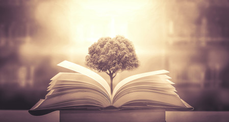 九年级英语Unit4的重要知识点梳理