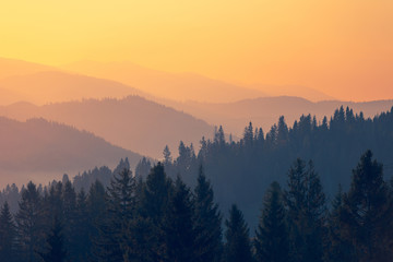 歌词那一天爸爸和妈妈离开了家歌名叫什么