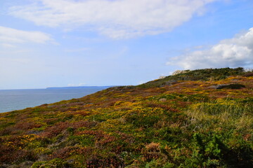 六一儿童节手抄报要写的字