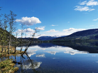 劳动节活动策划总结