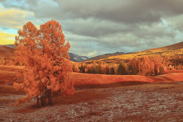 探望病人要讲究哪些礼仪