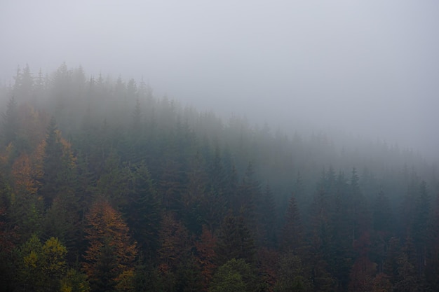 趣味记忆单词的方法介绍