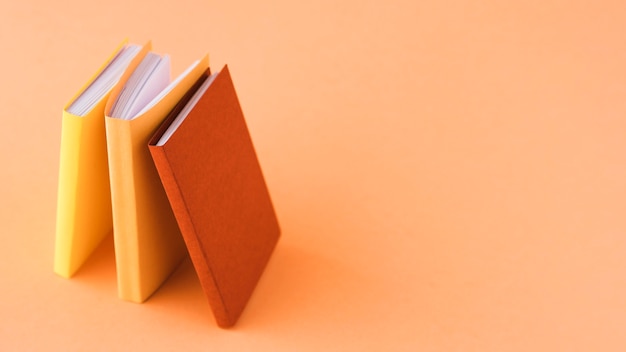 洛阳二外小学一年级开设英语课吗