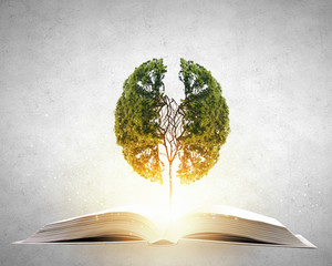 九年级英语Unit4的重要知识点梳理