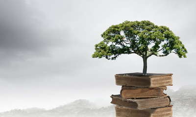 六一儿童节手抄报要写的字