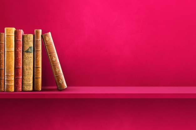 洛阳二外小学一年级开设英语课吗