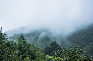 洛阳二外小学一年级开设英语课吗